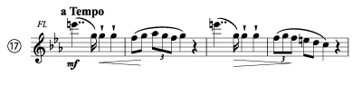 bruckner 4th symphony 17